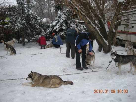dscn2248.jpg