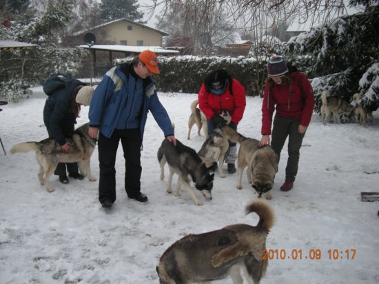 dscn2251.jpg