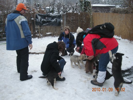 dscn2252.jpg