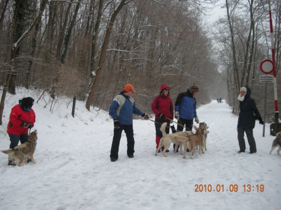 dscn2265.jpg