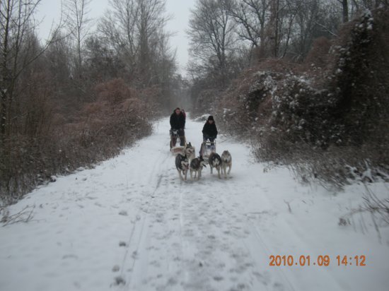 dscn2268.jpg