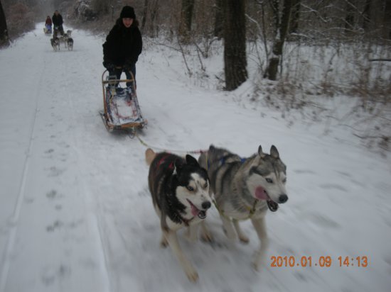 dscn2269.jpg