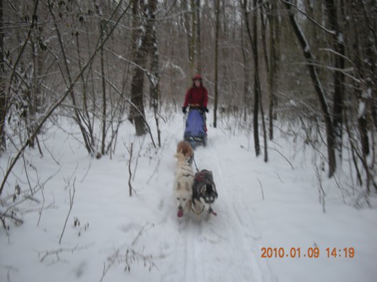 dscn2270.jpg