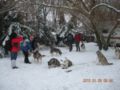 dscn2247.jpg