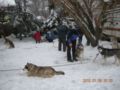 dscn2248.jpg