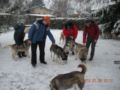 dscn2251.jpg