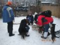 dscn2252.jpg