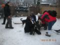 dscn2253.jpg