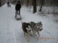 dscn2269.jpg