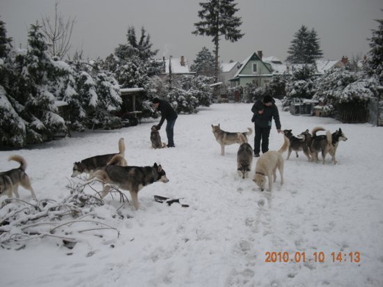 dscn2283.jpg