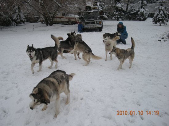 dscn2284.jpg