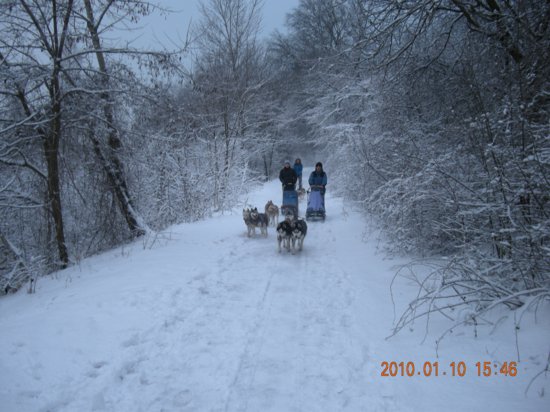 dscn2290.jpg
