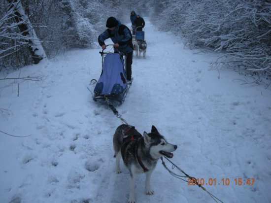 dscn2291.jpg