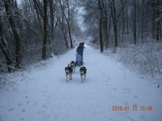 dscn2292.jpg