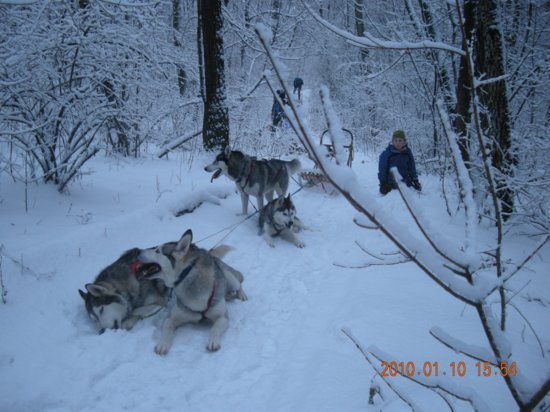 dscn2294.jpg