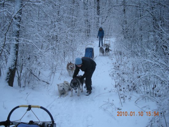 dscn2295.jpg