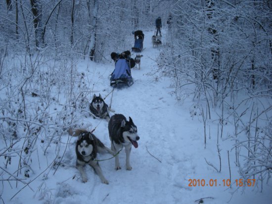 dscn2296.jpg