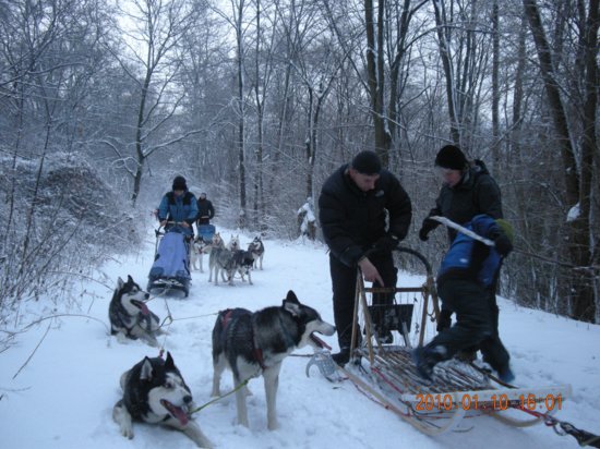 dscn2297.jpg