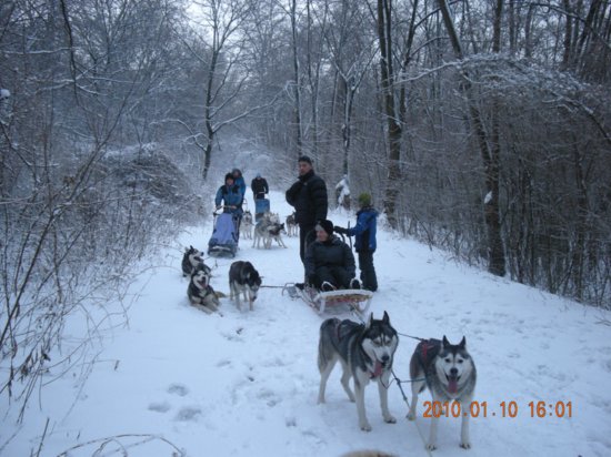 dscn2298.jpg