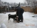 dscn2281.jpg