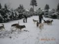 dscn2283.jpg