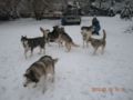 dscn2284.jpg