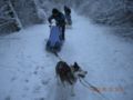 dscn2291.jpg
