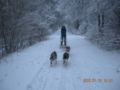 dscn2293.jpg