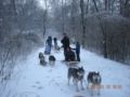 dscn2298.jpg
