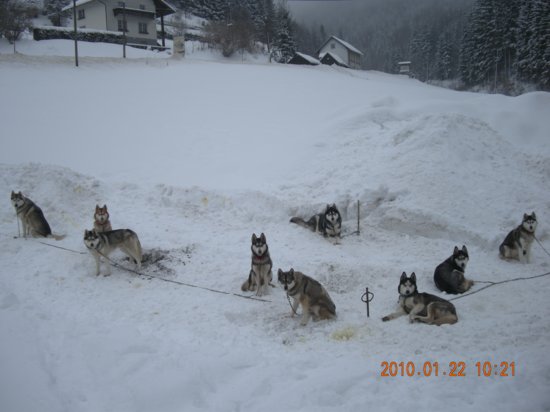 dscn2308.jpg