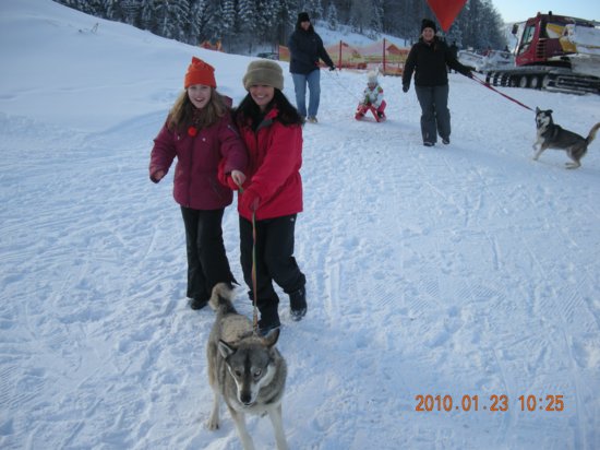dscn2315.jpg