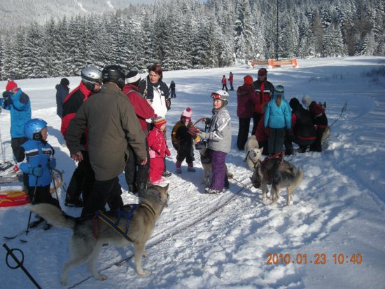 dscn2317.jpg