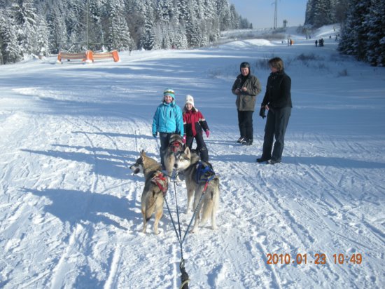 dscn2319.jpg