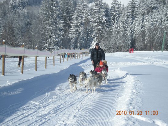 dscn2323.jpg