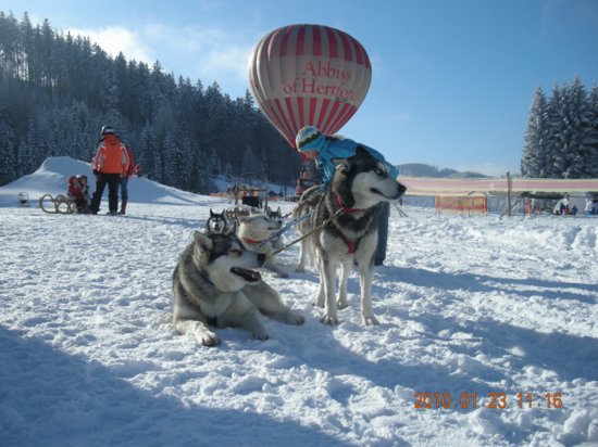 dscn2334.jpg