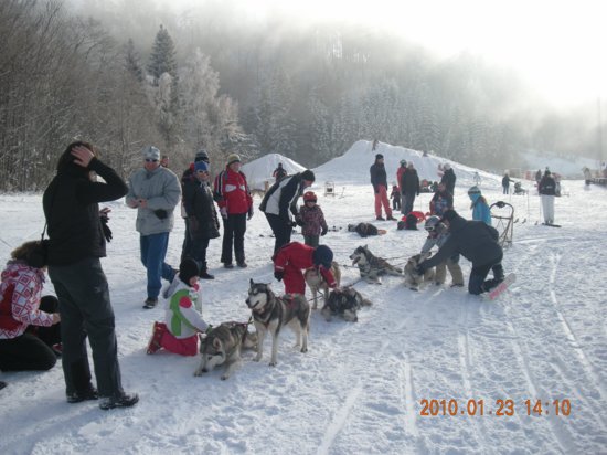 dscn2338.jpg