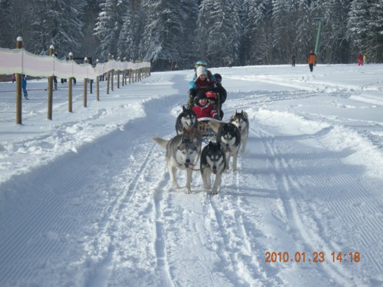 dscn2344.jpg