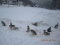 dscn2308.jpg