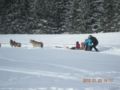 dscn2342.jpg