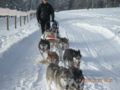 dscn2351.jpg
