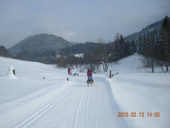 dscn2413.jpg