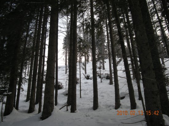 dscn2416.jpg