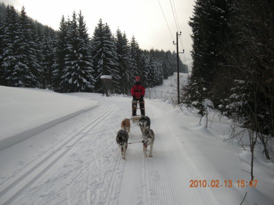 dscn2417.jpg