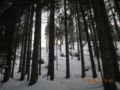 dscn2416.jpg