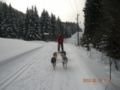 dscn2417.jpg