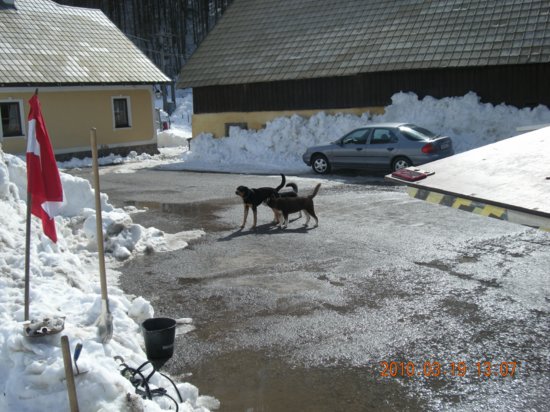dscn2551.jpg