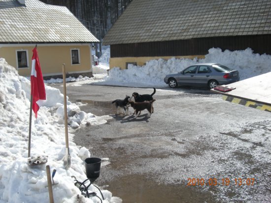 dscn2552.jpg