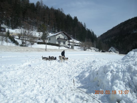 dscn2553.jpg