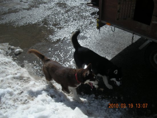 dscn2554.jpg