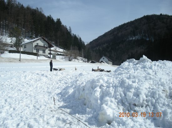 dscn2555.jpg
